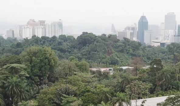 Taman Duta Land View