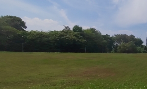 Cheras Commercial land for sale